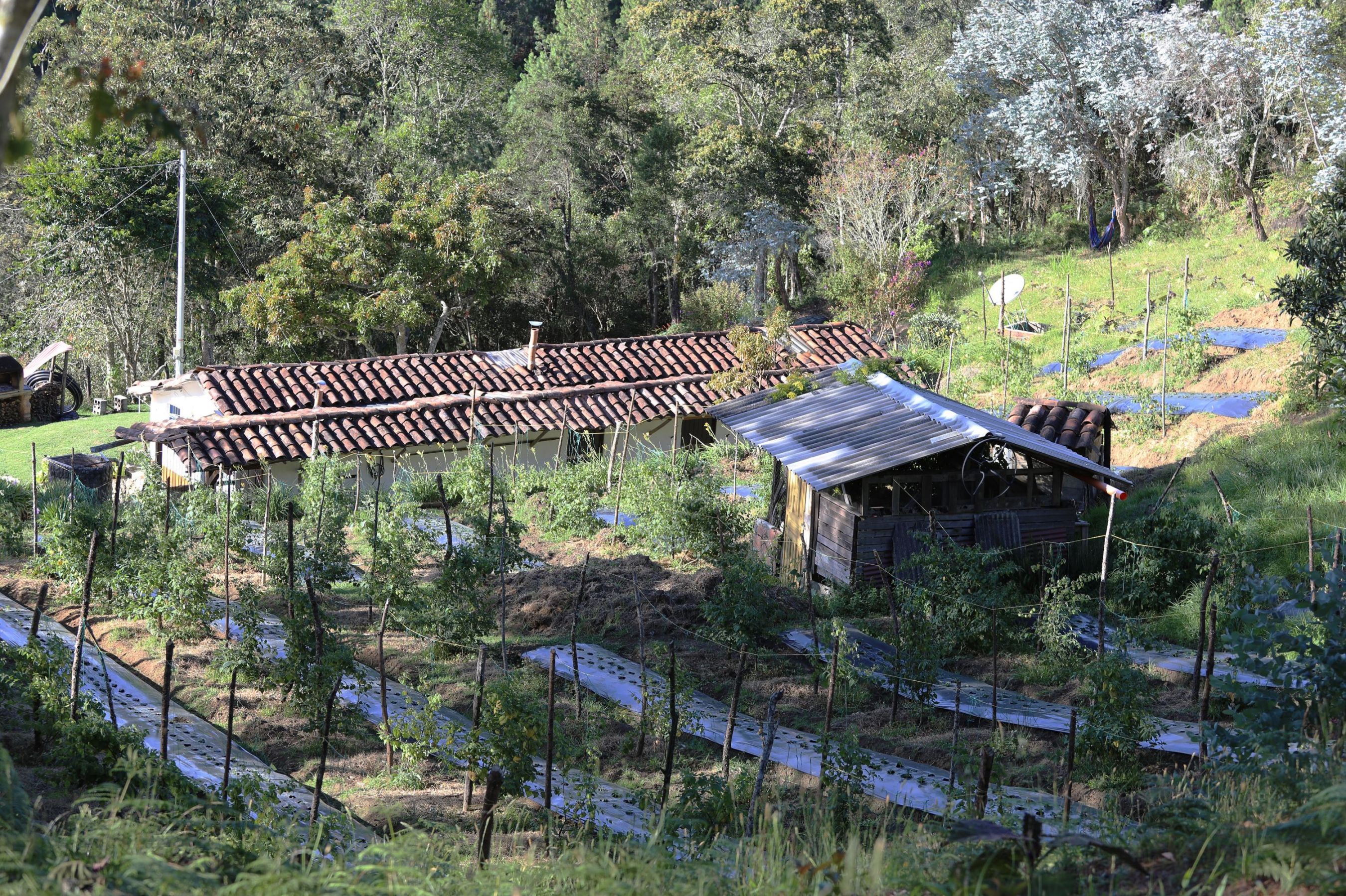 ANG_0690 Sta Helena javi